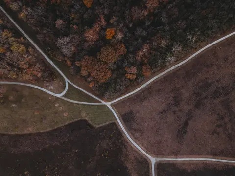 Aerial Forest 4K Wallpaper · aerial · 3840×2878