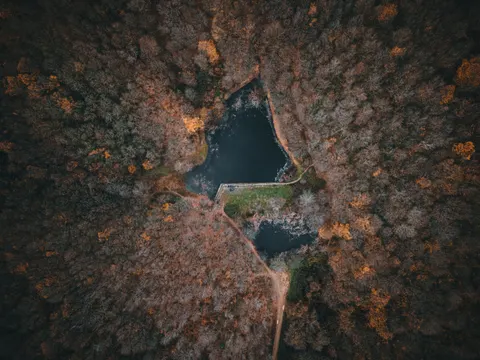 والپیپر جنگل هوایی با کیفیت 4K · aerial · 3840×2880