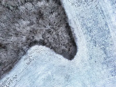 Aerial Forest 4K Wallpaper · aerial · 3840×2880