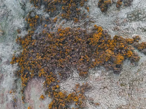 Luftaufnahme Wald 4K Hintergrundbild · aerial · 3840×2880