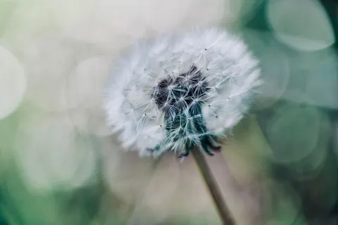 Fondo de pantalla Luces bokeh 4K · abstract · 3840×2560