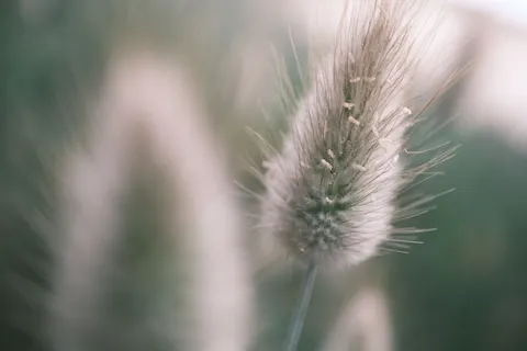 Bokeh Lights 4K Wallpaper · abstract · 3840×2560