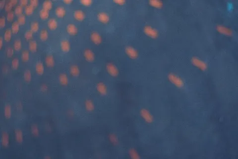散景灯光 4K壁纸 · abstract · 3840×2560