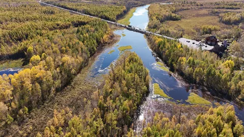 Sfondo Fiume dall'Alto 4K · aerial · 3840×2160