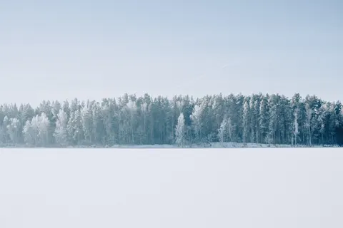 والپیپر جنگل برفی با کیفیت 4K · winter · 3840×2560