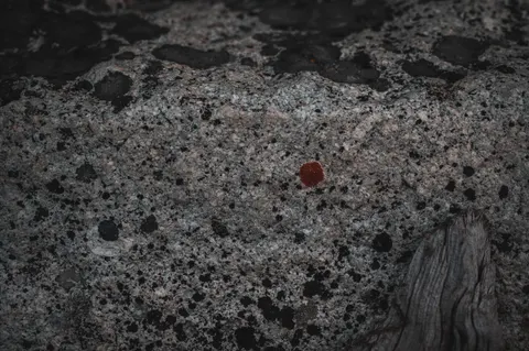 Marble 4K Wallpaper · minimal · 3840×2555