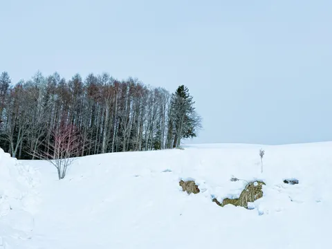 Fond d'écran Neige d'hiver 4K · nature · 3840×2880