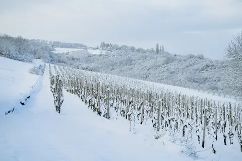 Winterschnee 4K Hintergrundbild · nature · 3840×2561