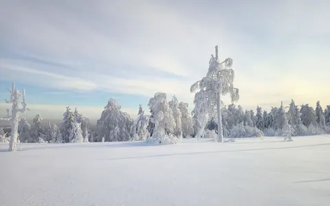 Winter Snow 4K Wallpaper · nature · 3840×2402