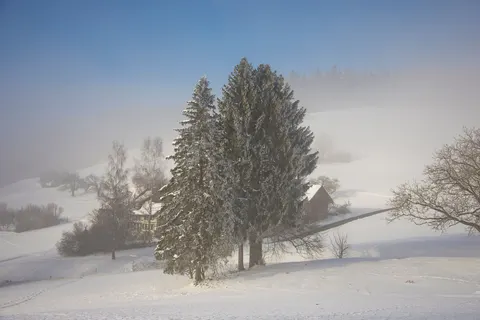 Fond d'écran Neige d'hiver 4K · nature · 3840×2560