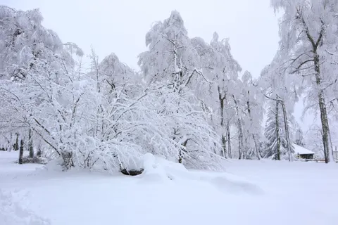 Fondo de pantalla Nieve de invierno 4K · nature · 3840×2560