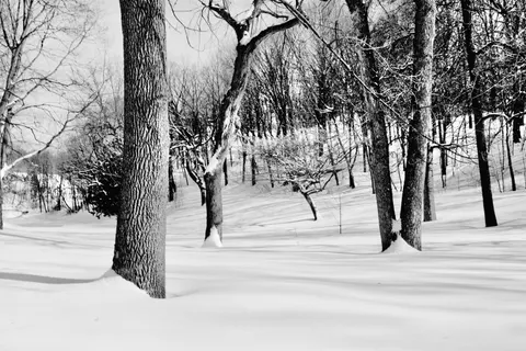 Winter Snow 4K Wallpaper · nature · 3840×2560
