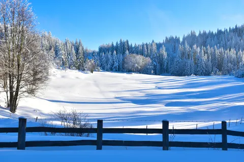 Winter Snow 4K Wallpaper · nature · 3840×2560