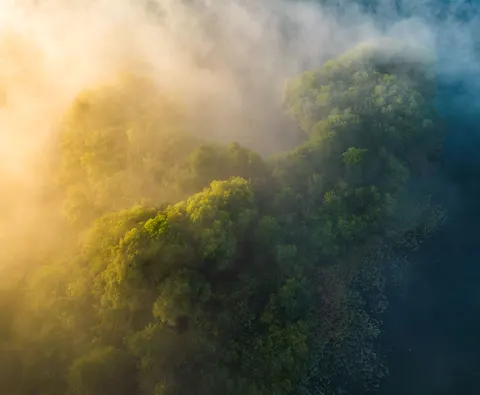 Aerial Forest 4K Wallpaper · aerial · 3840×3163