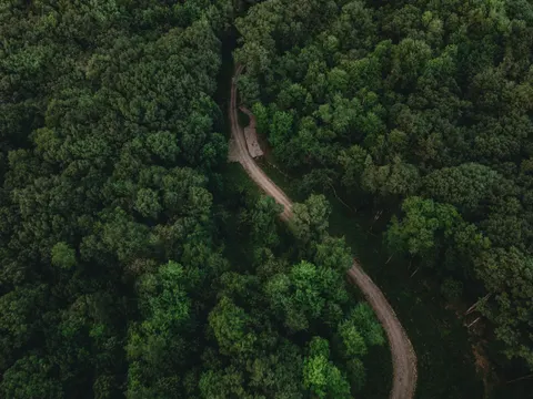 Aerial Forest 4K Wallpaper · aerial · 3840×2878