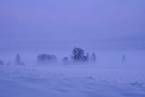 Winterschnee 4K Hintergrundbild · nature · 3840×2560