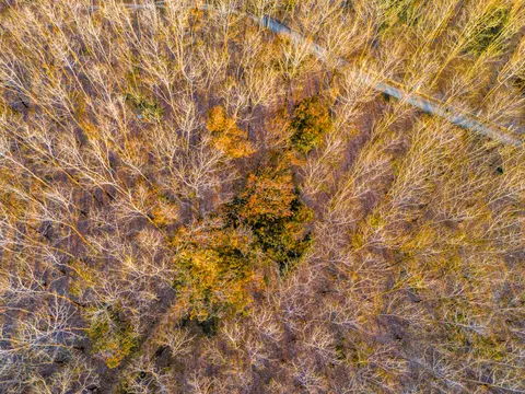 Aerial Forest 4K Wallpaper · aerial · 3840×2880