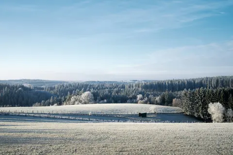 Обои Зимний снег 4K · nature · 3840×2560