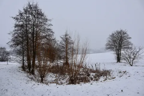 Winter Snow 4K Wallpaper · nature · 3840×2560