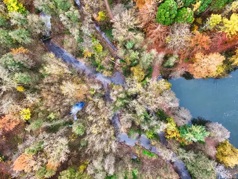 والپیپر جنگل هوایی با کیفیت 4K · aerial · 3840×2880