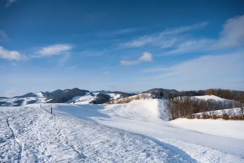 Fond d'écran Neige d'hiver 4K · nature · 3840×2560