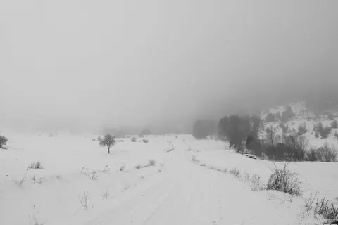Winter Snow 4K Wallpaper · nature · 3840×2560