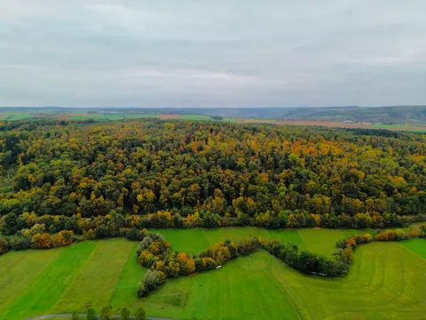 Papel de parede Floresta Aérea 4K · aerial · 3840×2880