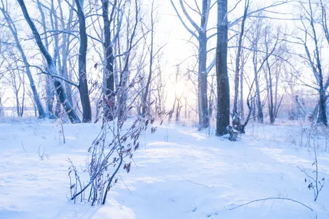 Winter Snow 4K Wallpaper · nature · 3840×2560