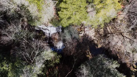 Aerial Forest 4K Wallpaper · aerial · 3840×2160