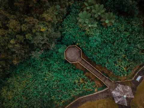 Aerial Forest 4K Wallpaper · aerial · 3840×2880