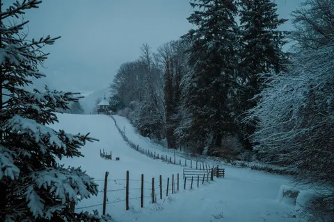 Winter Snow 4K Wallpaper · nature · 3840×2560
