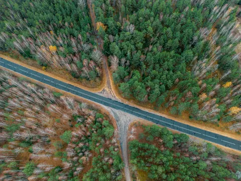 Aerial Forest 4K Wallpaper · aerial · 3840×2880