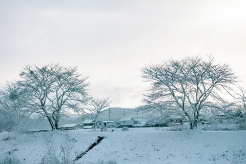 Fond d'écran Neige d'hiver 4K · nature · 3840×2560