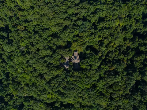 Hình nền Rừng Nhìn Từ Trên Cao 4K · aerial · 3840×2880