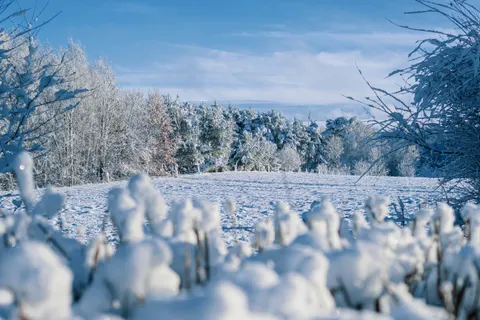 Обои Зимний снег 4K · nature · 3840×2560