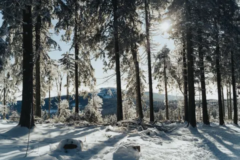 Winter Snow 4K Wallpaper · nature · 3840×2560