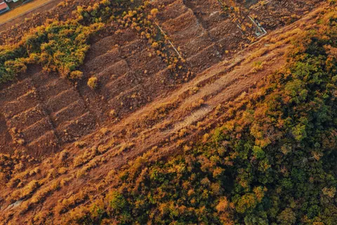 Papel de parede Floresta Aérea 4K · aerial · 3840×2560