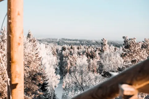 Snowy Forest 4K Wallpaper · winter · 3840×2560