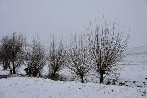 Fond d'écran Neige d'hiver 4K · nature · 3840×2560