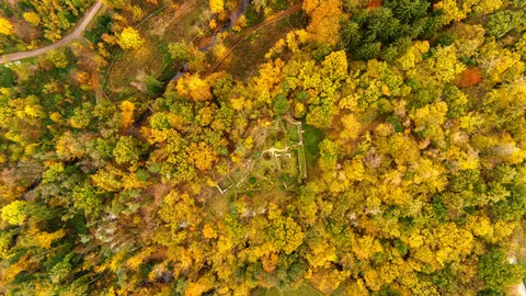 Papel de parede Floresta Aérea 4K · aerial · 3840×2160