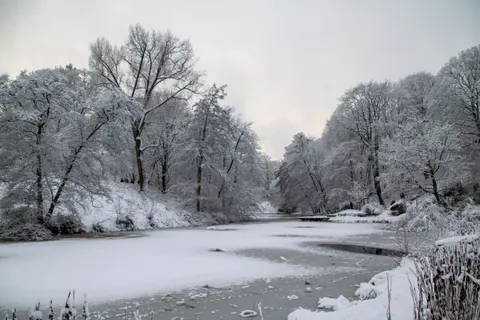 Fondo de pantalla Nieve de invierno 4K · nature · 3840×2560