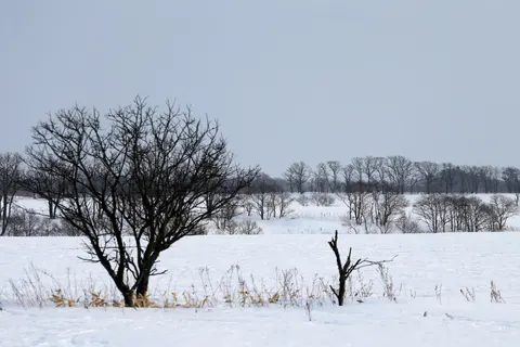 Fond d'écran Neige d'hiver 4K · nature · 3840×2560
