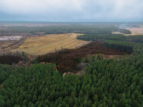 Luftaufnahme Wald 4K Hintergrundbild · aerial · 3840×2880