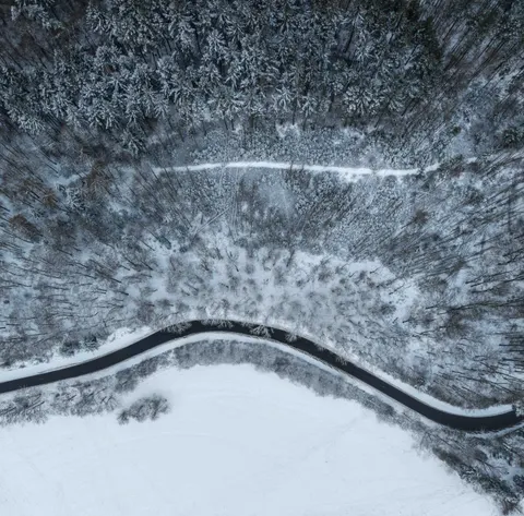 والپیپر جنگل هوایی با کیفیت 4K · aerial · 3840×3789