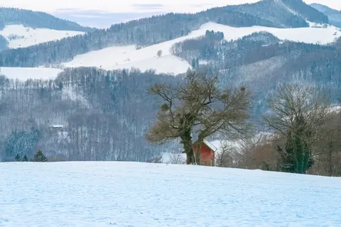 Winter Snow 4K Wallpaper · nature · 3840×2560
