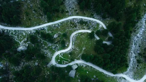 Luftaufnahme Wald 4K Hintergrundbild · aerial · 3840×2160