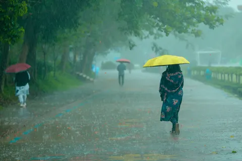 Rain Drops 4K Wallpaper · nature · 3840×2560