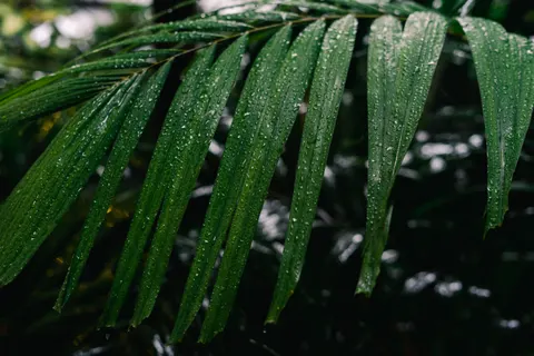 빗방울 4K 배경화면 · nature · 3840×2560