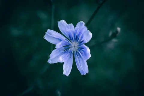 Regentropfen 4K Hintergrundbild · nature · 3840×2560