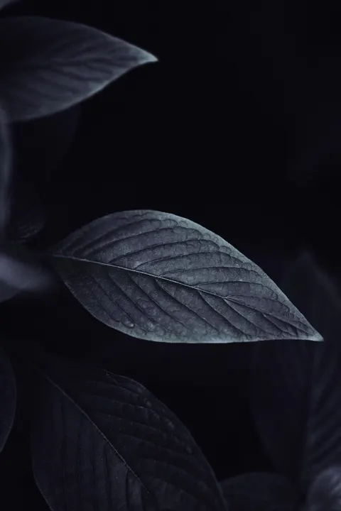 صفحه قفل مینیمال والپیپر موبایل · lockscreen · 1440×2160